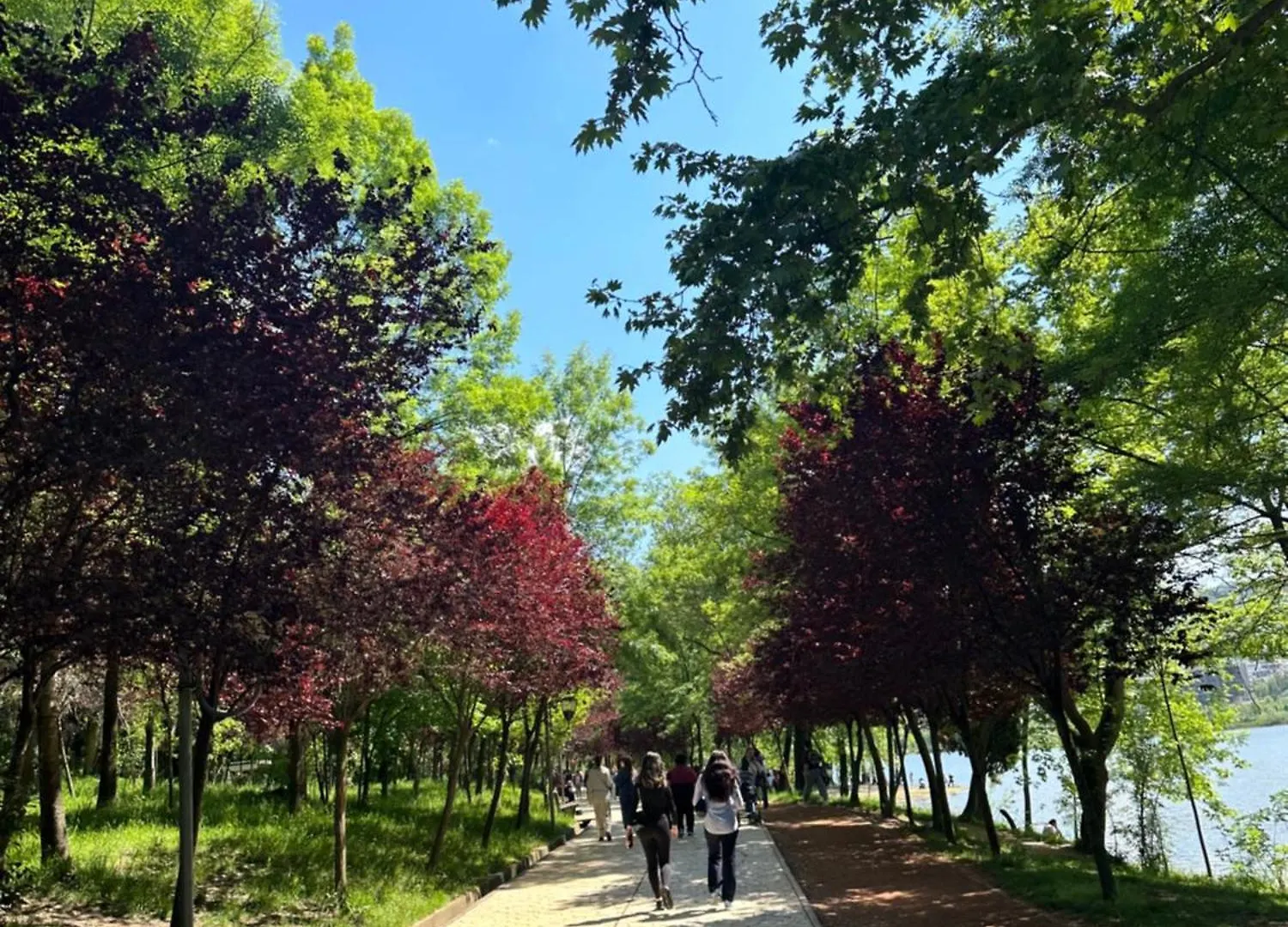 게스트하우스 Tirana Residence 알바니아